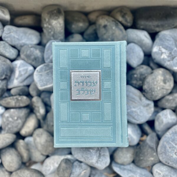 סידור 'עבודה שבלב' גוון תכלת כיס  - טקסטורת ריבועים